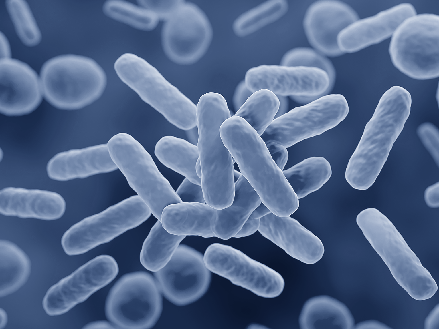 Probiotic supplements